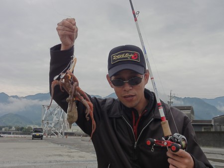 新子きてます！